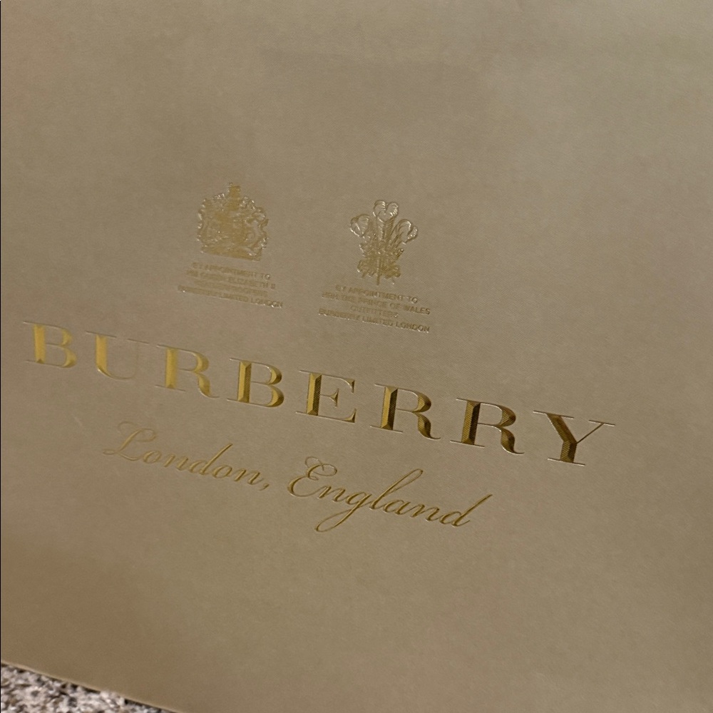 Burberry Shopping Storage Bag - Picture 6 of 11